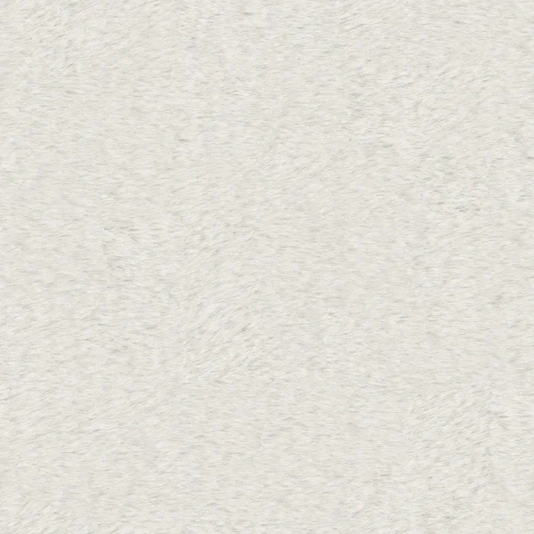 Corto 1