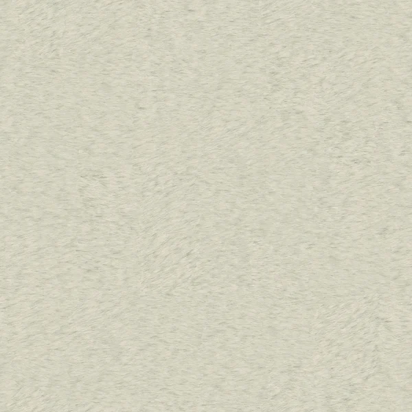 Corto 3