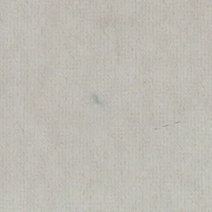 Skin 1